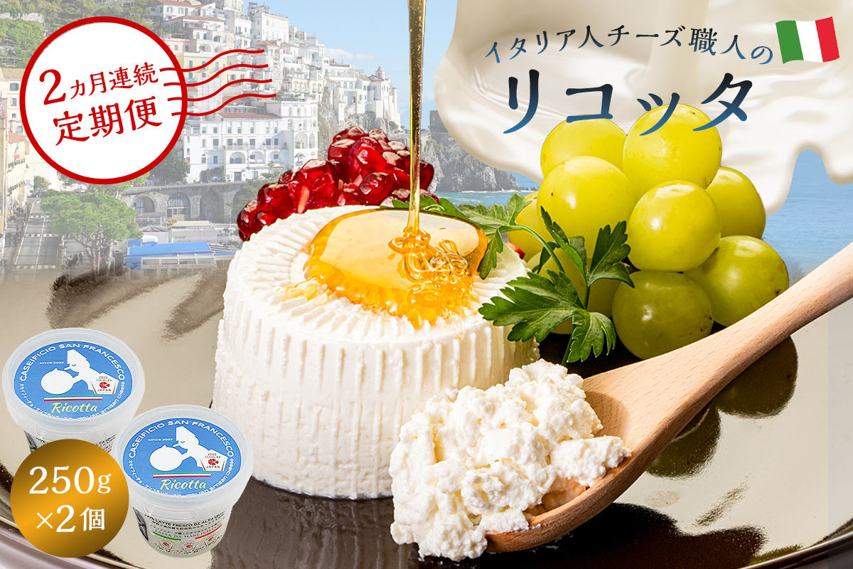 【定期便】リコッタ Ricotta 250g 2個セット(2カ月連続お届け)【0073-048】