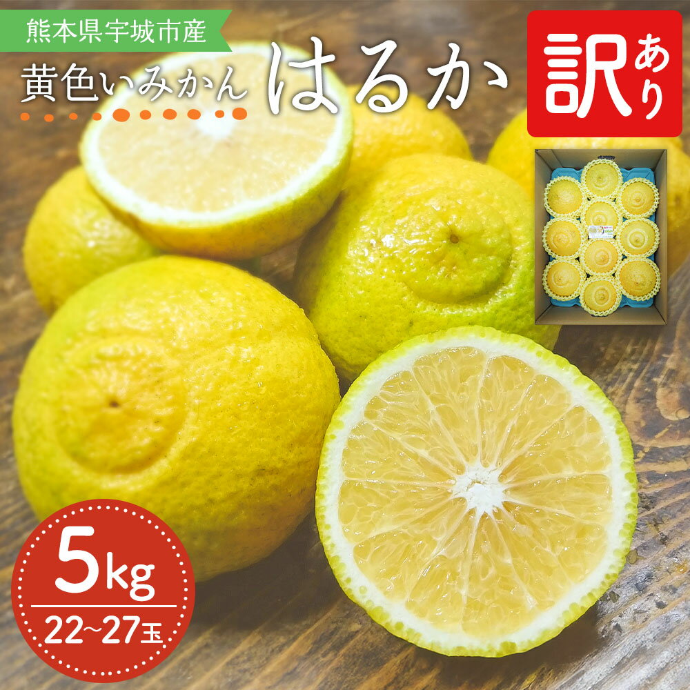 【ふるさと納税】 みかん はるか 約5kg 22〜27玉 訳あり 吉田レモニー 【2025年2月上旬〜2025年5月下旬発送】