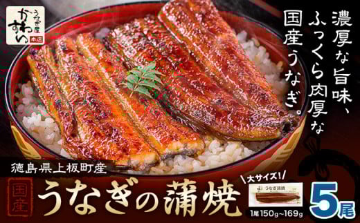 楽天グルメ大賞13年連続受賞！うなぎ屋かわすい 国産うなぎの蒲焼 計5尾 (1尾150g-169g) 川口水産株式会社《30日以内に出荷予定(土日祝除く)》徳島県 上板町 鰻 うなぎ ウナギ 鰻の蒲焼き 蒲焼 蒲焼き 国産