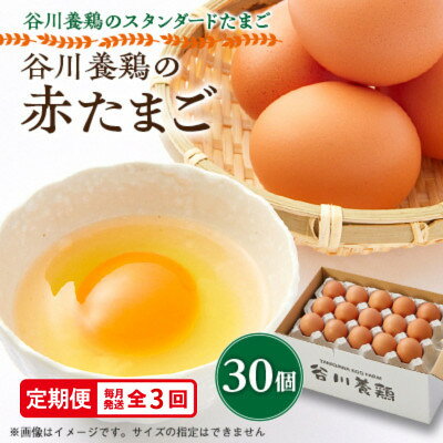 【ふるさと納税】【毎月定期便】計90個【生みたて濃厚】谷川養鶏の赤たまご30ヶ入り(※サイズ指定できません)全3回【配送不可地域：離島】【4092208】