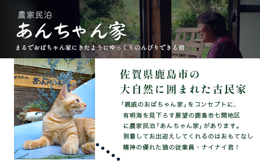 農家民泊 あんちゃん家 ペア宿泊券【1日1組限定/1泊2食】【夕食プレミアムしゃぶしゃぶ+羽釜ご飯】or【夕食グレードアップBBQ/佐賀牛or猪肉で選べる+羽釜ご飯】　佐賀県 鹿島市 民泊 旅行 宿泊