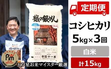 令和8年産新米【五ツ星お米マイスター厳選・3ヶ月定期便】コシヒカリ 白米  5kg×3回（計 15kg）[Y0591]