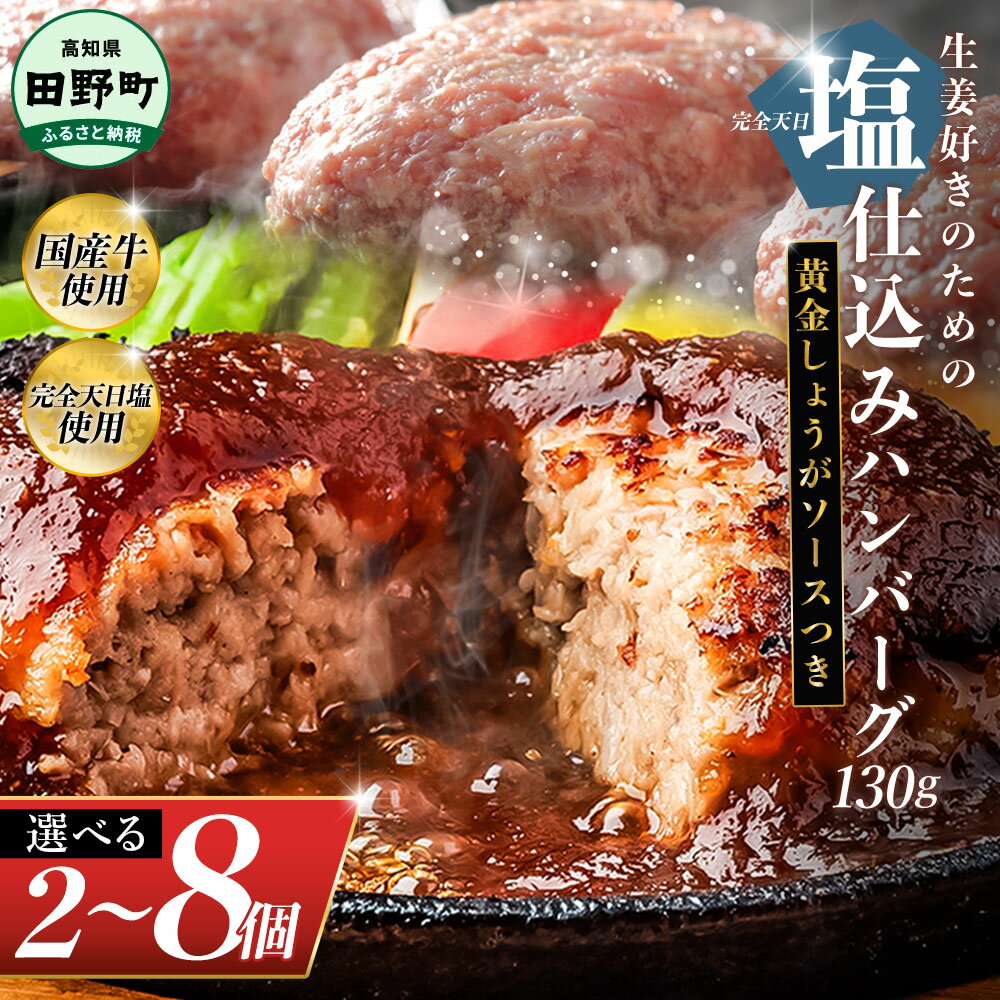 【ふるさと納税】塩仕込みハンバーグ 2~8個入り 黄金しょうがソース付 1~4袋 美鮮豚 びせんとん 生姜 田野屋青蜂 白鯆 完全天日塩 肉 お肉 国産牛 四万十ポーク おかず 惣菜 ジューシー おいしい 洋食 お取り寄せ 冷凍 配送 高知県 田野町 ふるさとのうぜい 故郷納税 返礼品