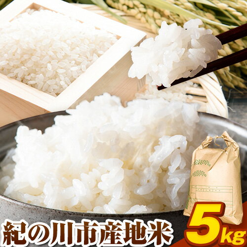 【ふるさと納税】紀の川市産地米 5kg (米屋のおすすめ) 上野商店 《30日以内に出荷予定(土日祝除く)》和歌山県 紀の川市 米 白米 品種指定なし