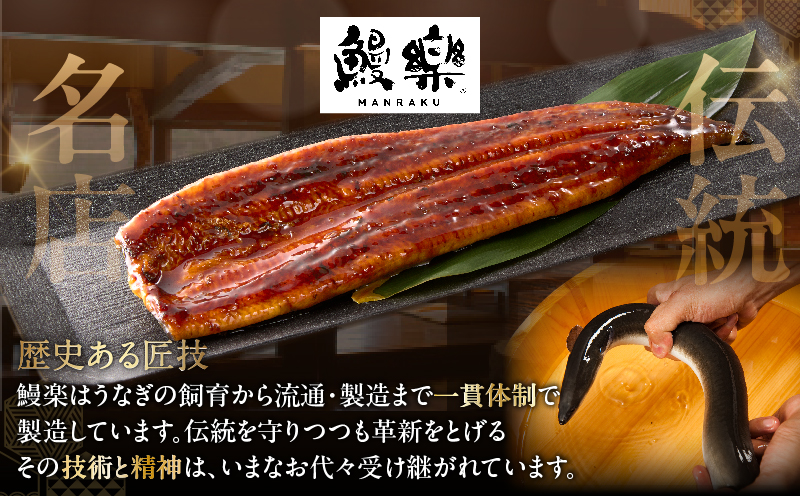 うなぎ蒲焼3尾(さんしょう・たれ付き)計600g以上 鰻 魚 魚介 加工品 国産_T026-0146