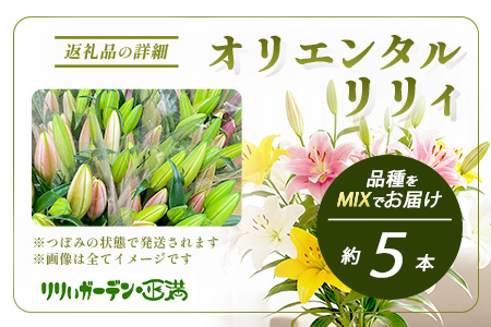 【生産者直送】【幸せと笑顔を届けるオリエンタルリリィ（約5本）】 ユリ 百合 花 切り花 フラワー 艶やか 美しい 華やか 可憐 鮮やか 長持ち 強い 有機肥料 自然 人気 ラッピング プレゼント 贈