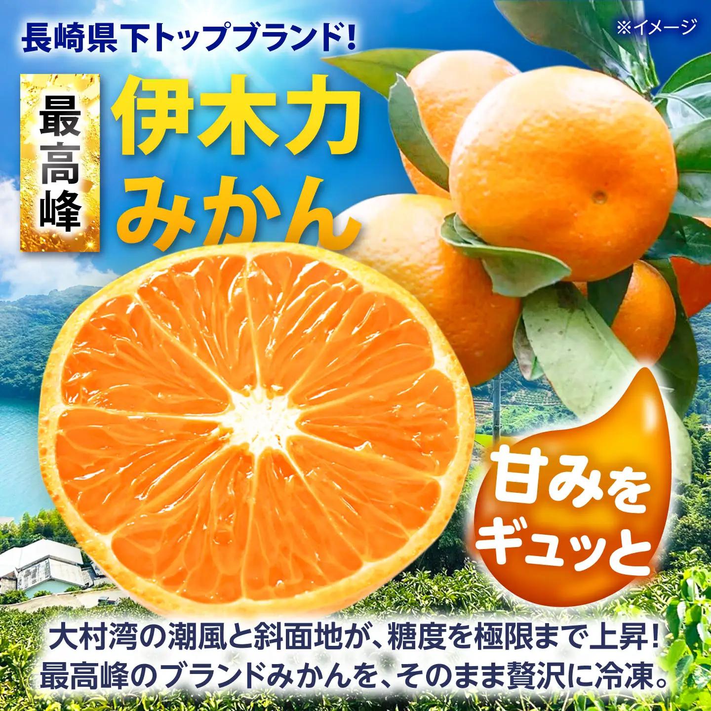 【訳あり】冷凍みかん 500g×2 温州みかん AHBD006