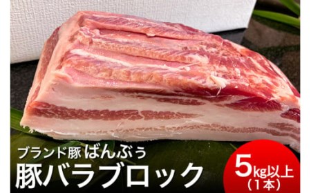ブランド豚「ばんぶぅ」豚バラブロック1本 ばんぶぅ 豚肉 豚バラ肉 ブロック肉 しゃぶしゃぶ 焼き肉 豚バラ 真空パック しゃぶしゃぶ肉 焼肉用 ブタ肉 国産 茨城県産 ギフト プレゼント 冷蔵 高級部位 ブランド豚 42-D