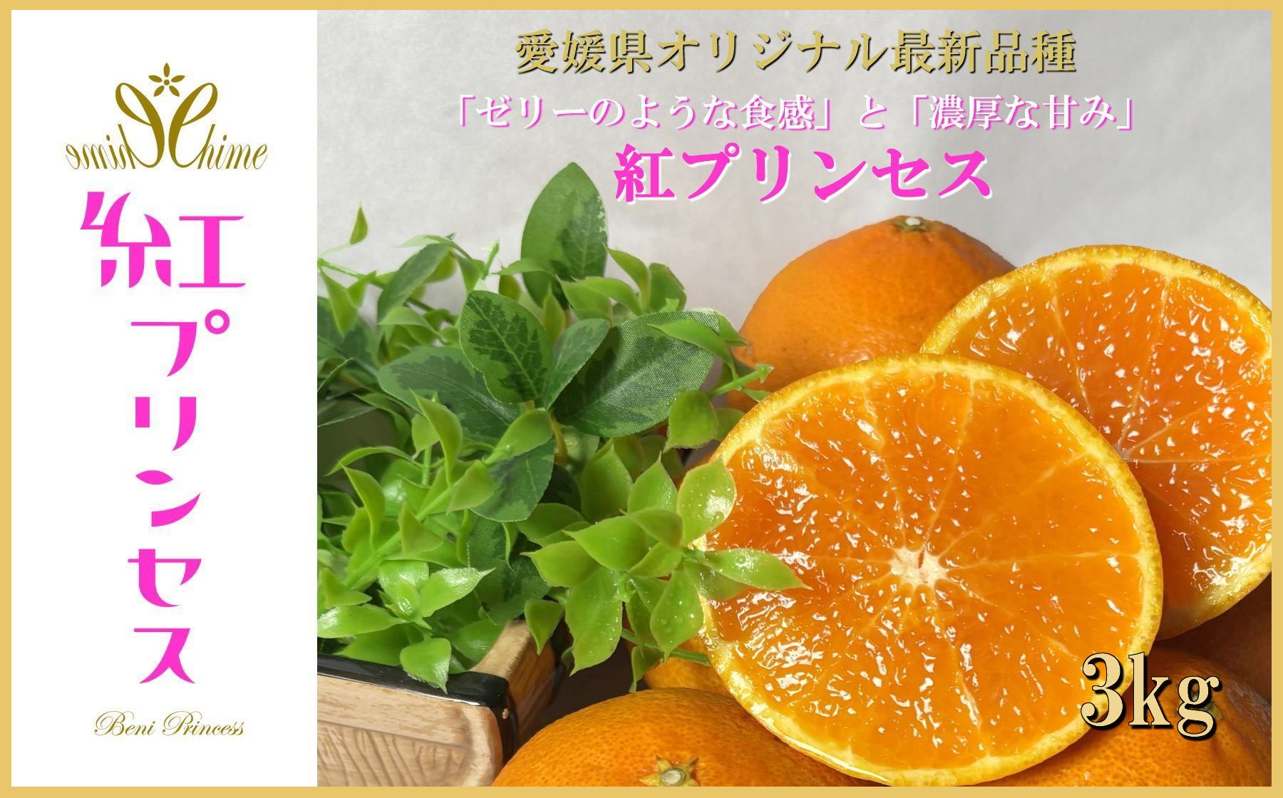 【ふるさと納税】柑橘界のサラブレット!!「まどんな」と「甘平」を親に持つ!!　「紅プリンセス」3キロ【F39-77】_【配送不可地域：離島】【1621866】YWTF052