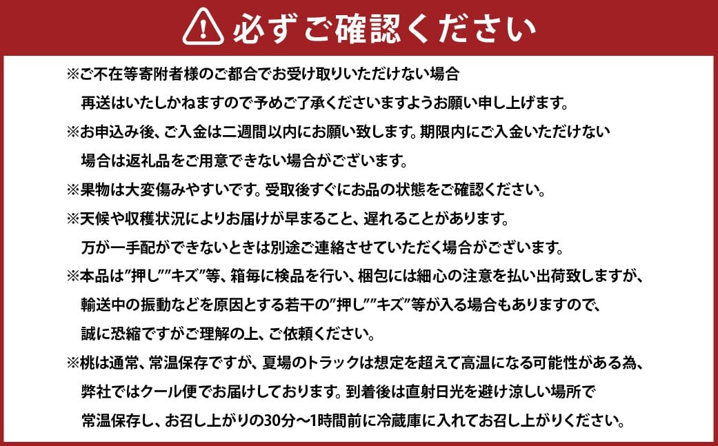 詰合 ／ 白桃 （1玉220g以上） 2玉 ・ ニューピオーネ （1房480g以上） 2房 化粧箱入り【2026年7月下旬～8月上旬迄発送予定】 ／ 桃 もも 葡萄 ぶどう 果物 果実 フルーツ 旬 