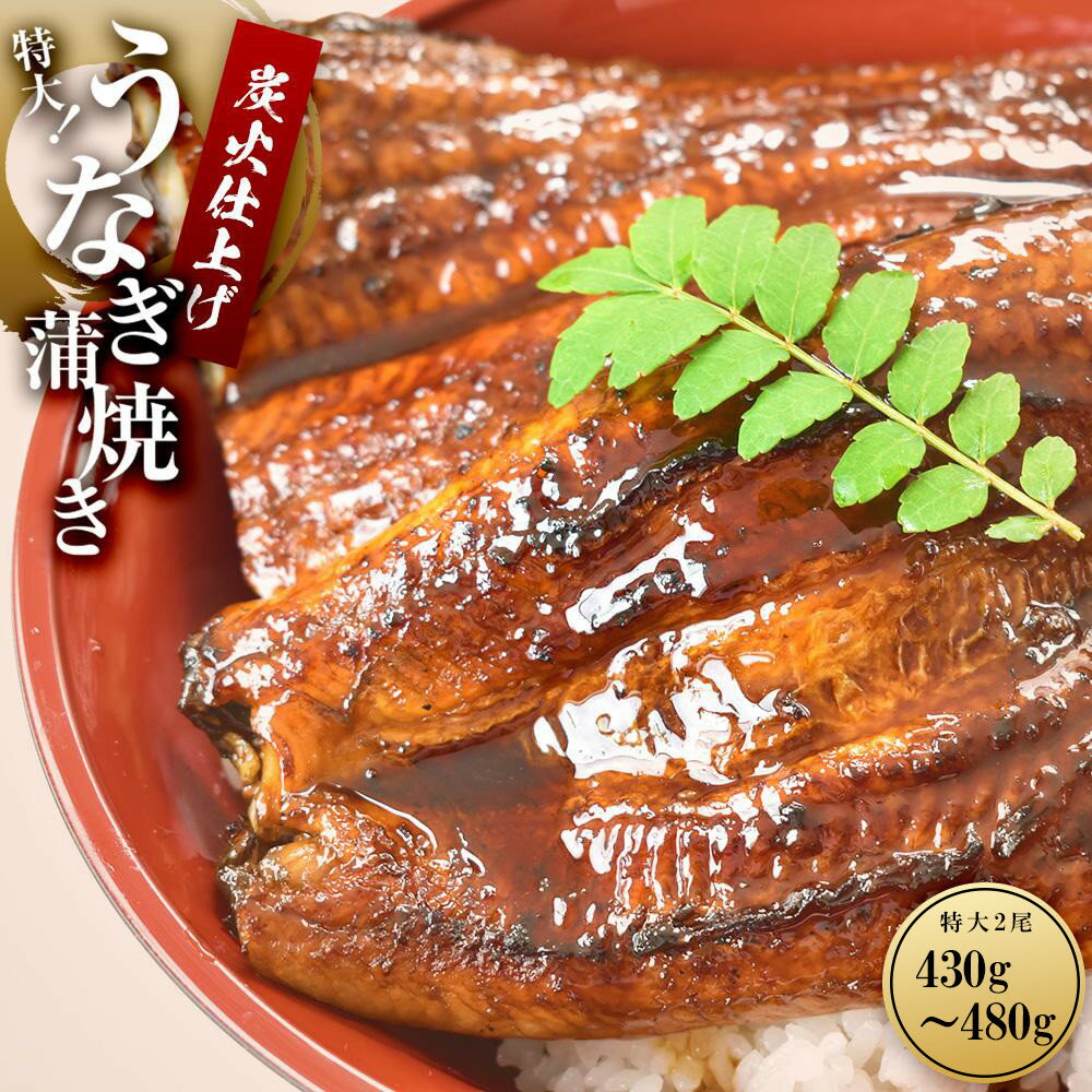 【ふるさと納税】うなぎ蒲焼き2尾入り 430g～480g（蒲焼たれ4袋 山椒付き）［KS5］
