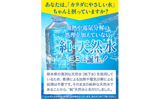 熊本イオン純天然水 ラベルレス 500ml×45本 お試し 《30日以内に出荷予定(土日祝除く)》 水 飲料水  国産 天然水---fn_gfrst45_30d_24_7000_45i_ni---