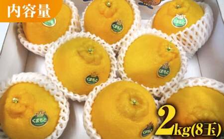 【先行予約】デコポン 約2kg【かきやま果実】 でこぽん 果物 フルーツ 柑橘 熊本県産デコポン [ZCJ001]