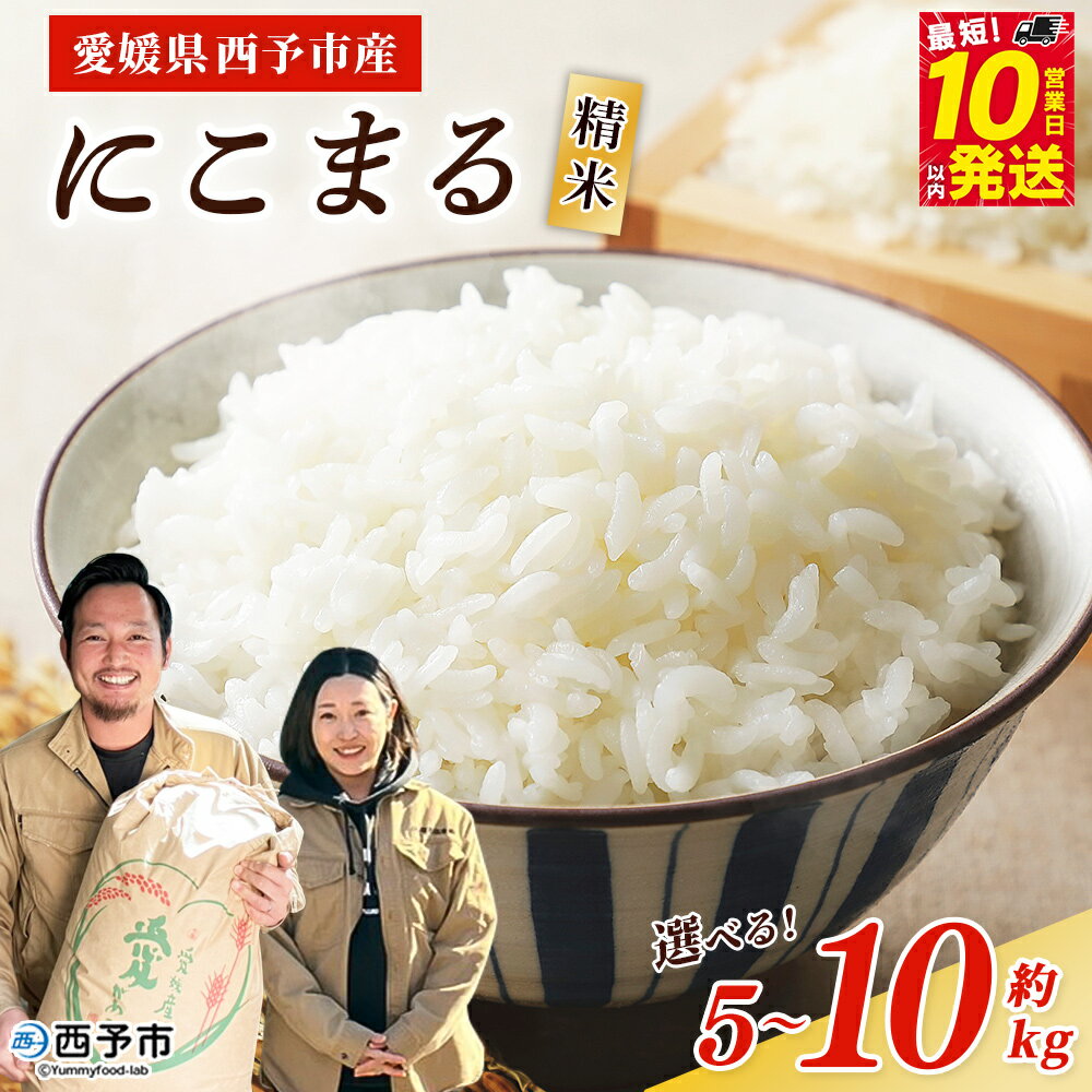 【ふるさと納税】＜令和7年産 西予市産 にこまる 精米 約5kg/10kg＞ 選べる 内容量 ニコマル お米 米 コメ こめ 白米 国産米 単一原料米 ご飯 5キロ 10キロ お弁当 おにぎり 特産品 愛媛県産 株式会社宇都宮米穀 愛媛県 西予市【常温】『最短10営業日以内に順次出荷予定』
