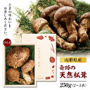 【ふるさと納税】【数量限定】山形県高畠町産 松茸（ひらき） F2Y-1130