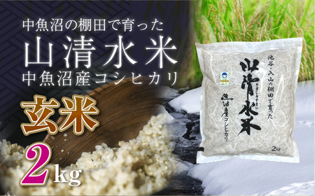 【令和8年産 新米】 新潟県魚沼産コシヒカリ「山清水米」玄米2kg