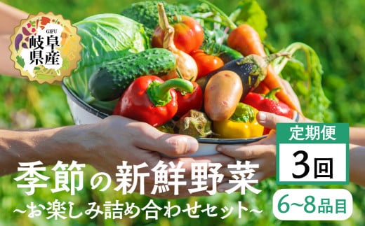 季節の野菜セットA 6～8品目 お届け回数  3回  お届け 定期便 3か月 品目おまかせ BBQ 春 夏 秋 冬 野菜 料理 自宅用 岐阜県産 本巣市 新鮮 やさい 数量限定 冷蔵 道の駅 織部の里 [mt1615]