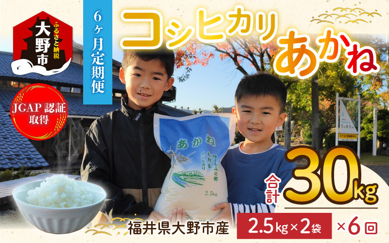 
【令和5年産】【6ヶ月定期便】福井県大野市産 JGAP認証 コシヒカリ「あかね」5kg（2.5kg×2）小分け
