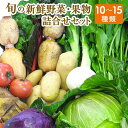 【ふるさと納税】旬の新鮮野菜・果物詰合せセット たっぷり10-15品目 熊本県氷川町産 道の駅竜北《30日以内に出荷予定(土日祝除く)》