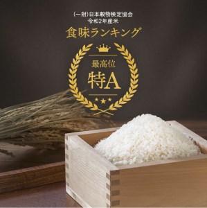 【令和7年産米先行予約】久保農園　ななつぼし精米10㎏（2025年10月～11月上旬発送予定）