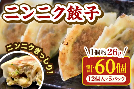 【数量限定！】ニンニク餃子(12ヶ入×5パック)