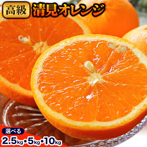 【ふるさと納税】【先行予約】高級 清見オレンジ 選べる 約 2.5kg 約 5kg 約 10kg 主井農園《2月下旬-3月中旬頃出荷》 和歌山県 日高町 高級 清見 オレンジ 果物 柑橘 みかん 送料無料