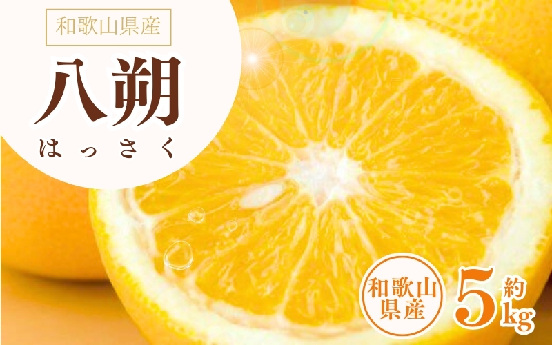 八朔(はっさく)約5kg サイズおまかせ　紀伊国屋文左衛門本舗　※2027年1月下旬～2027年4月上旬頃に発送予定【ntbt410B】