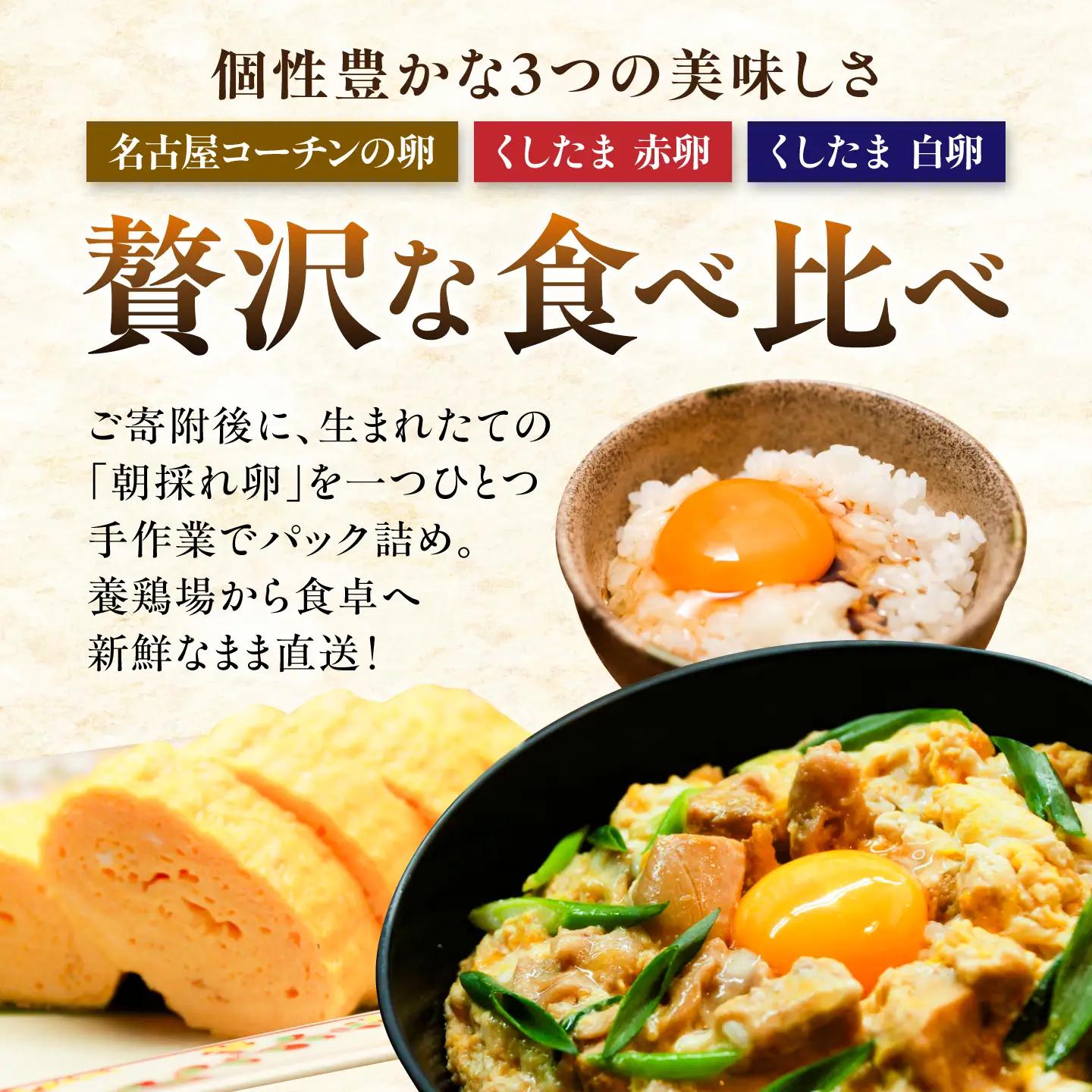 3種食べ比べ 大容量セット 60個（名古屋コーチン20個・赤卵20個・白卵20個）/ 卵 たまご / 稲沢市 / 櫛田養鶏場[BMAY010]