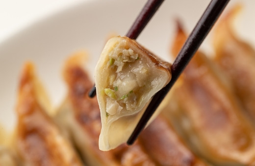 
いちのせき もち餃子 ぎょうざ ギョウザ ギョーザ 惣菜 岩手県 一関市 焼き餃子 水餃子 冷凍
