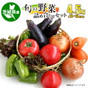 【ふるさと納税】旬の野菜詰め合わせセット 10～13品目 4～5kg やさい ヤサイ 茨城県産