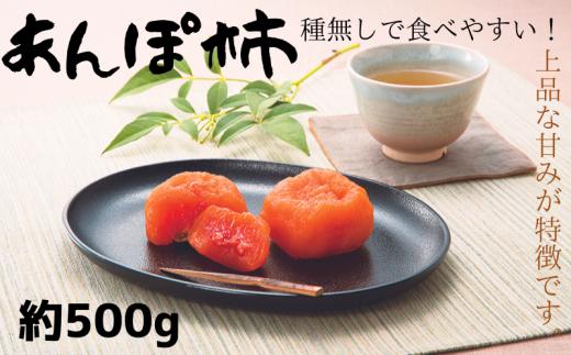  紀州かつらぎ山のあんぽ柿　化粧箱入　約500g　※2027年1月中旬頃〜下旬頃に順次発送予定（お届け日指定不可） / 柿 果物 フルーツ くだもの 先行予約 【uot736】