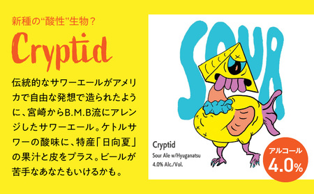 B.M.B Breweryのクラフトビールおまかせ6本セット(定番3種と季節の3種) ビール ギフト 詰め合わせ