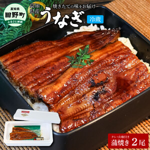 特選うなぎの蒲焼き2尾（特製タレ付き） 130g×2尾 ヤマシン 