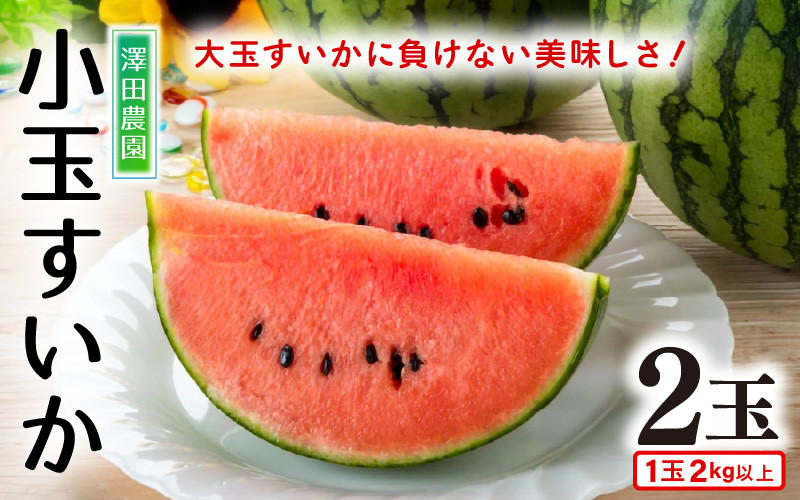
【先行予約】小玉すいか 愛娘(まなむすめ) 2kg以上 2玉入 ＜大玉のようなシャリ感！皮際まで抜群に甘い＞ / 期間限定 果物 フルーツ 産地直送 スイカ 小玉スイカ ※2025年6月上旬より順次発送
