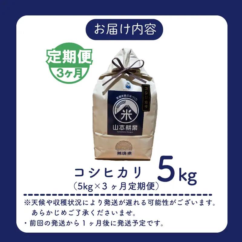 【3ヶ月定期便】 コシヒカリ 5kg × 3回 無洗米 牧之原市 静岡県 山本耕業
