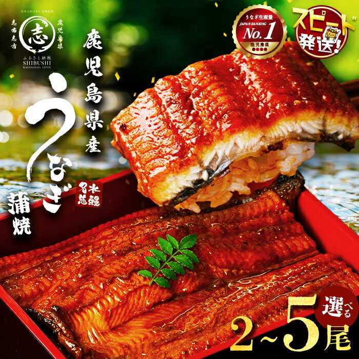 【丑の日までにお届け！7月20日入金まで】【緊急支援企画】【数量限定】鹿児島県産うなぎ蒲焼 名水慈鰻5尾(計800g以上・1尾あたり156〜185g以上) 鰻 ウナギ 5尾 国産 蒲焼 かばやき 冷凍 うな重 ひつまぶし タレ 山椒 ランキング 人気【鹿児島鰻】b