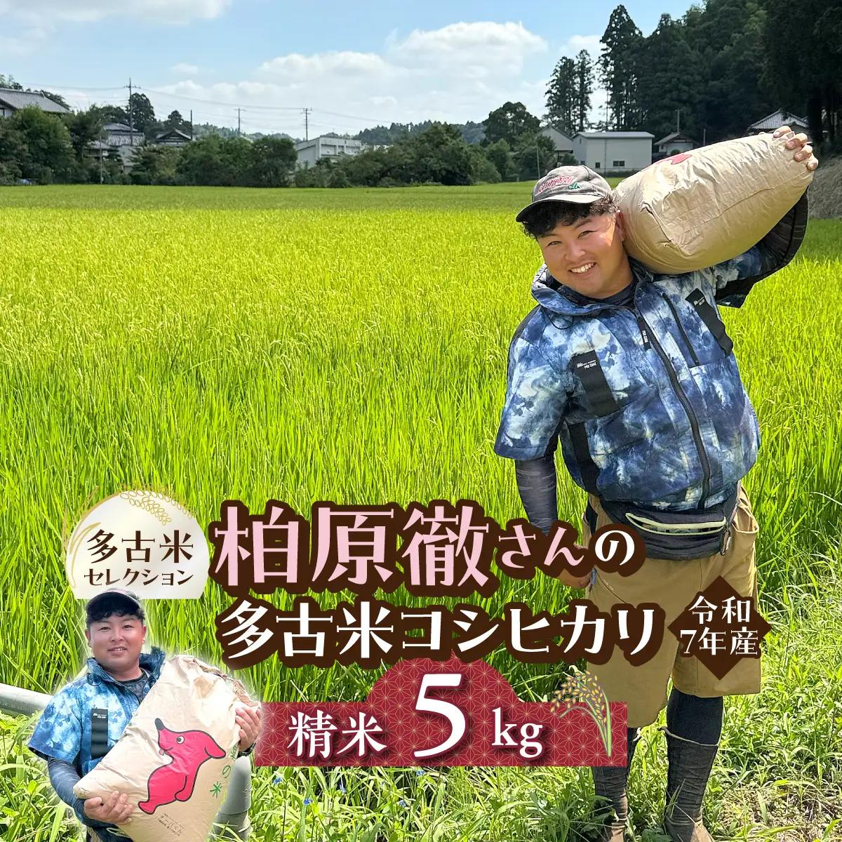 多古米セレクション　柏原徹さんの多古米コシヒカリ　精米5kg　令和8年産【配送不可地域：離島・沖縄県】米 白米 精米 千葉県産 TAKF061