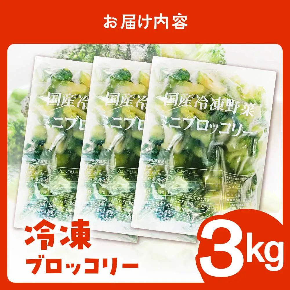冷凍ブロッコリー 3kg 池田海陸物産 [SEW007] ブロッコリー