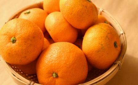 和歌山有田みかん約5kg ご家庭用（サイズ混合）★2024年11月中旬頃より順次発送