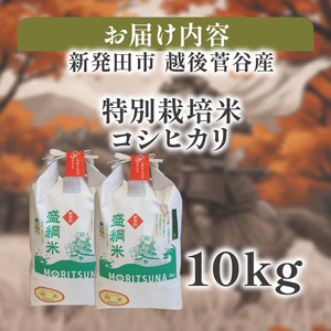 【数量限定】 令和7年産 コシヒカリ 玄米 精米 特別栽培 10㎏  echigosugatani002