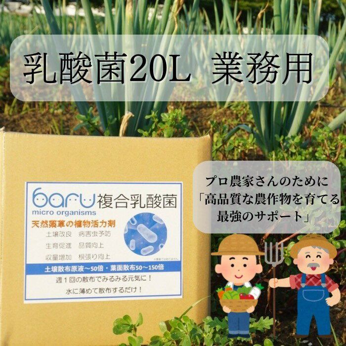 【ふるさと納税】環境に優しい農業用乳酸菌 安全で効果的な乳酸菌液をお届け 乳酸菌資材 有益菌農業 農業 家庭菜園 堆肥化 土壌改良 植物活力剤 野菜栽培 果物 花 原液 天然 堆肥作り あきた発酵農法 発酵 20L 業務用[N9901]