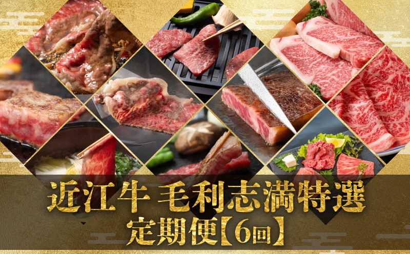 
                  【 定期便 】 近江牛 食べ比べ 全6回 焼肉 すき焼き しゃぶしゃぶ サーロイン ステーキ 赤身 霜降り （ 定期便 肉 黒毛和牛 お弁当 ブランド 近江牛 毎月 三大和牛 滋賀県 竜王 神戸牛 松阪牛 に並ぶ 日本三大和牛 ふるさと納税）
                