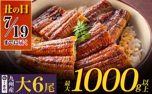 U61-72-01R01 丑の日の前日までにお届け 国産うなぎ蒲焼大サイズ6尾（計1000g以上）鰻蒲焼用タレ・山椒付 うなぎ生産量日本一鹿児島県産・宮崎県産・熊本県産 うなぎ 鰻 国産 うなぎ蒲焼き うな重 ひつまぶし 国産鰻 ウナギ 蒲焼 人気 鰻 おすすめ タレ 山椒 鰻 6尾 大容量 鰻 うなぎ ウナギ 国産 福智町 丑の日