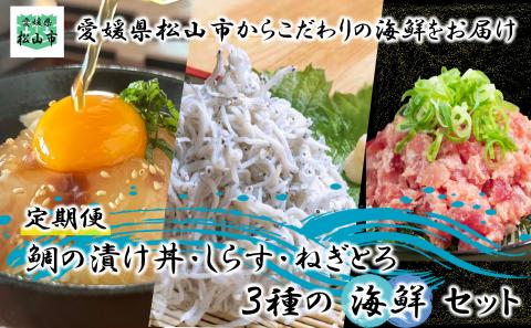 【定期便】松山海鮮セット 鯛の漬け丼 しらす ねぎとろ 愛媛県 松山市 海鮮 魚介 新鮮