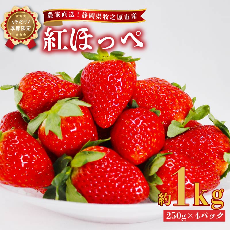 【ふるさと納税】 2026年2月中旬発送予定 いちご 紅ほっぺ 1kg 250g × 4パック 産地直送 フルーツ 苺 果物 ストロベリー 贈答用 ギフト 高級 甘い 人気 旬 ギフト プレゼント 贈り物 季節限定 新鮮 甘い 美味しい 静岡苺 牧之原苺 静岡いちご 牧之原市 静岡県 ヤマセン