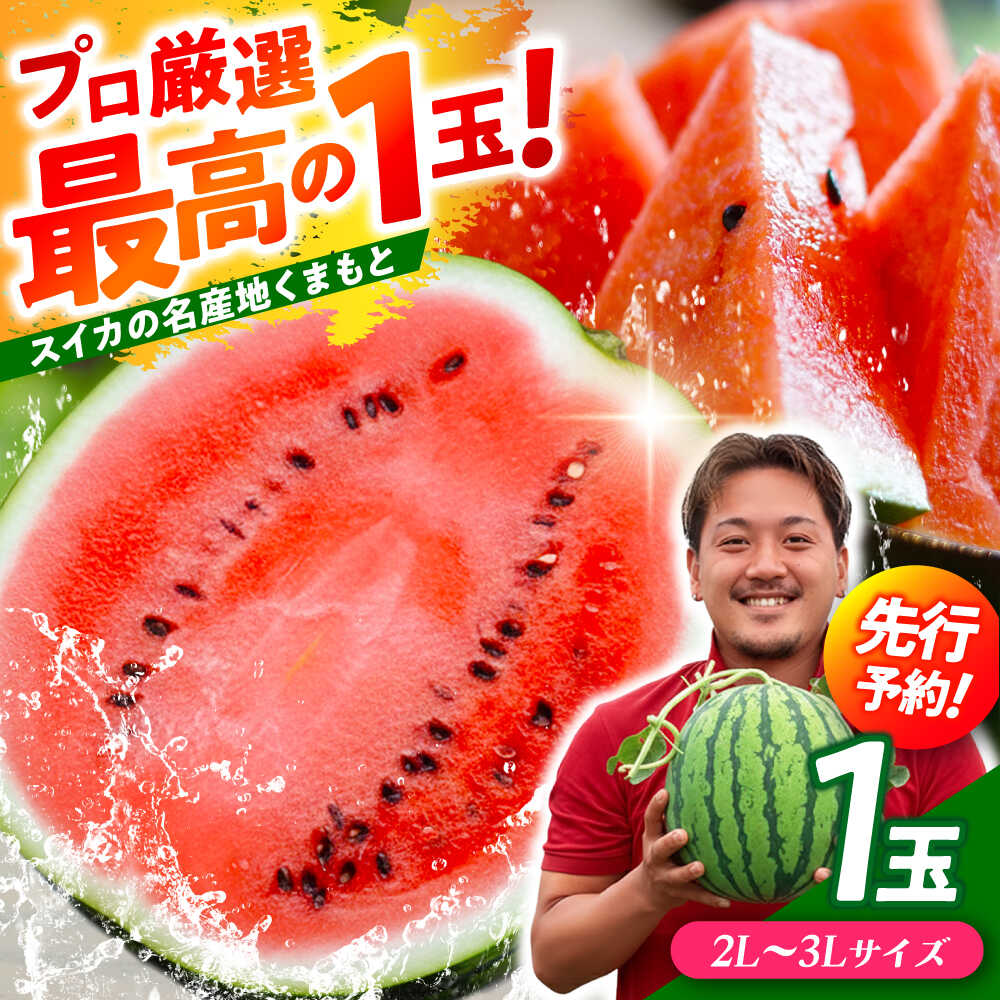 【ふるさと納税】【先行予約】 大玉スイカ！ 2L〜3Lサイズ（約7kg〜9kg） 厳選 1玉！ すいかの名産地 熊本からお届け 【城野農園】[ZFV001]
