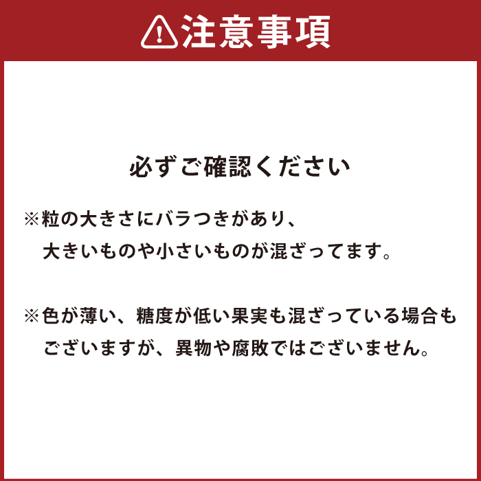 かの蜂 国産 【訳あり】 冷凍ブルーベリー2kg （1kg×2袋） 八女市産 ブルーベリー 国産 ブルーベリー 冷凍 フルーツ 八女市特産品 ヘルシー おやつ 栄養豊富 食物繊維 ビタミンC 福岡県 