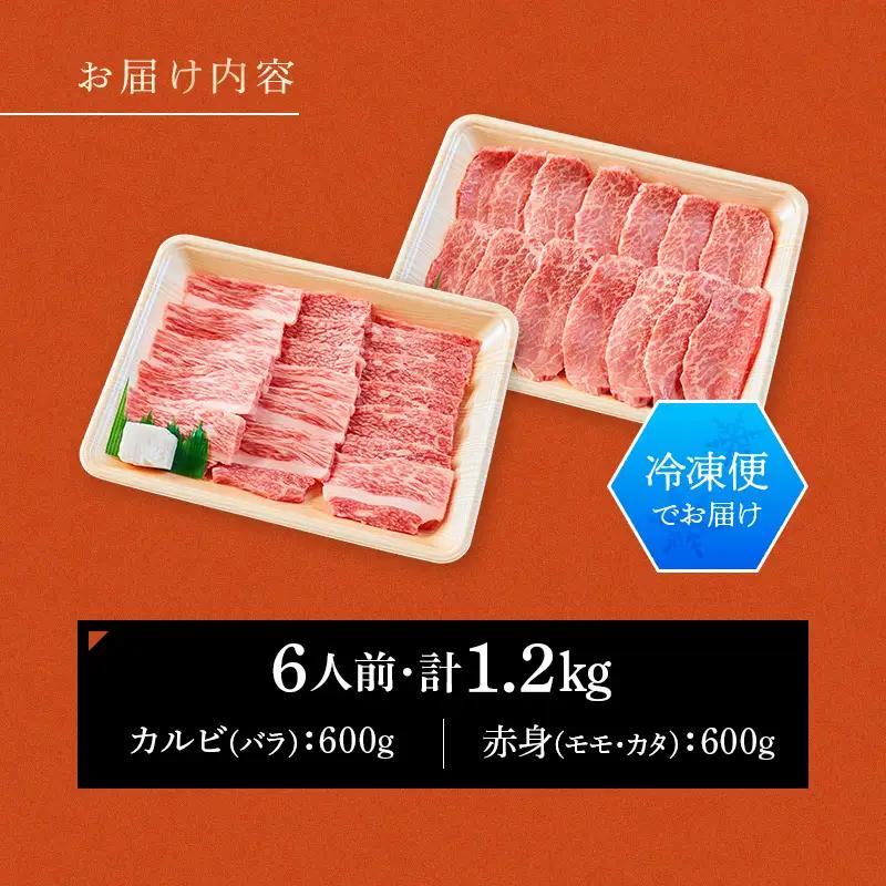 飛騨牛 焼肉セット 1.2kg 焼肉 BBQ 牛肉 和牛 肉 霜降り バラカルビ 赤身 モモ カタ 詰め合わせ ギフト 御祝 内祝 6人前 大容量 岐阜県 坂祝町 養老ミート  F6M-395
