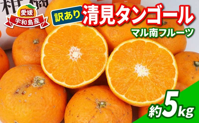 
            愛媛みかん 訳あり 清見タンゴール 5kg マル南フルーツ 先行予約 わけあり タンゴール オレンジ きよみ 清見オレンジ 清見みかん 清見蜜柑 清見 愛媛ミカン 愛媛蜜柑 蜜柑 みかん mikan 果物 くだもの フルーツ 柑橘 数量限定 国産 愛媛 宇和島 B010-106024
          