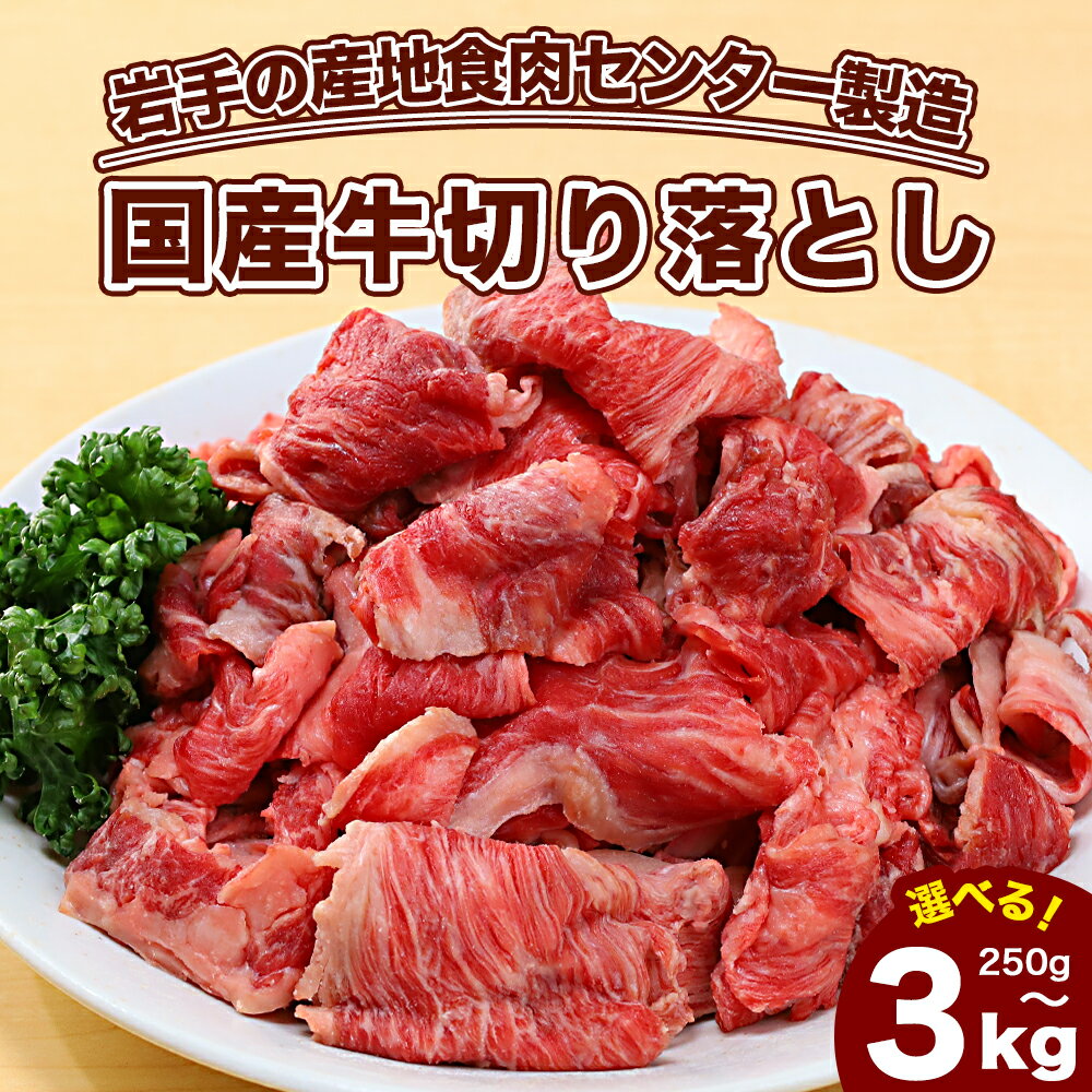 【ふるさと納税】国産 牛肉 切り落とし 選べる 内容量 250g / 500g / 1kg / 2kg / 3kg 国産牛 肉 赤身 小分け 便利 肉じゃが 牛丼 冷凍 訳あり サイズ不揃い 送料無料 コマ切れ 牛肉切り落とし 国産牛切り落とし 切り落とし牛肉 肉切り落とし